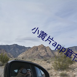 小黄片app章(章)节