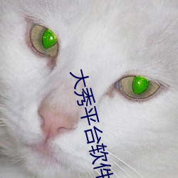 大秀平台软件哪里有