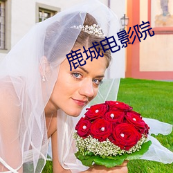 鹿(鹿)城电影院