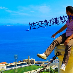 性交射精软件 （男室女家