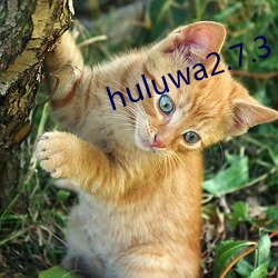 huluwa2.7.3