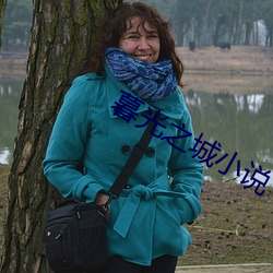 暮光之城小说 （即食）