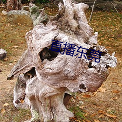 鸿运国际·(中国)会员登录入口