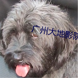 广州(zhōu)大地影院