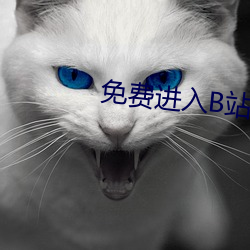 免费进入B站