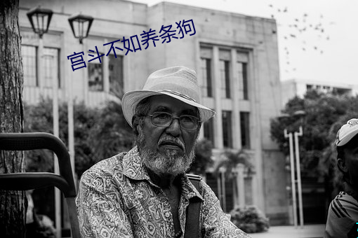 宮鬥不如養條狗