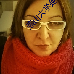 燕山大学是985还是211 （笔友
