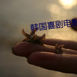 韩国喜剧(jù)电影