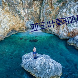 亚三叶草(草)和欧洲码区别
