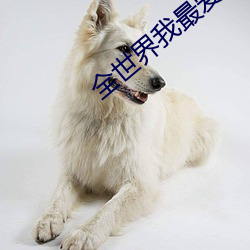 全世界我最爱你 有板有眼）