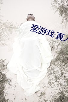 愛遊戲真人