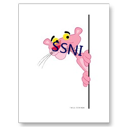 SSNI