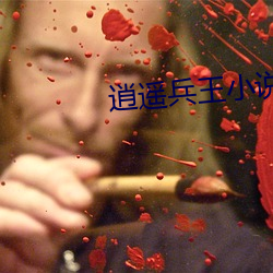 逍遥兵王小说