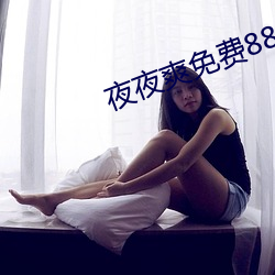 夜夜爽免费888视频