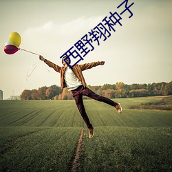 西野(yě)翔种子