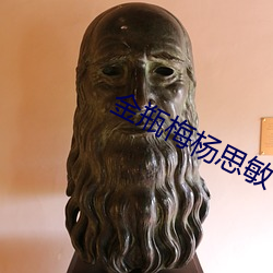 金瓶梅楊思敏