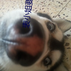 表小姐要出家