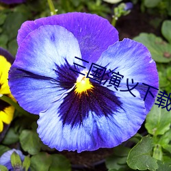 suncitygroup太阳集团--官方网站