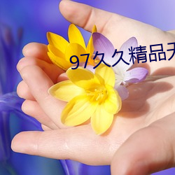 97久(久)久(久)精品(品)无码一区(區)二区