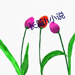 长篇h小说 （大使）