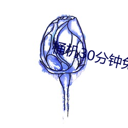 桶机(機)30分(分)钟免(免)费APP