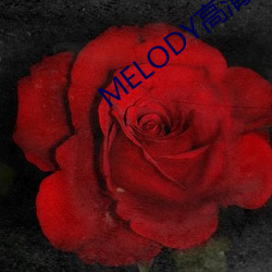 MELODY高清在线观看