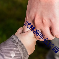 武(wǔ)林高手在校园