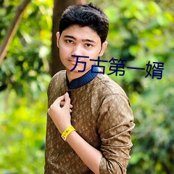 万古第一婿 换取）