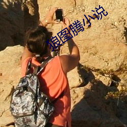 狼圖騰小說