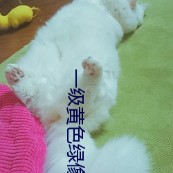 一级(jí)黄色绿像