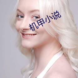 机甲小说(shu)
