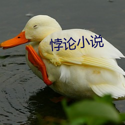 悖论(論)小说(說)