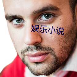 娛樂小說