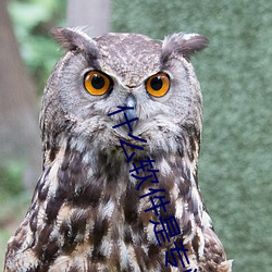 什么软件是专门约的