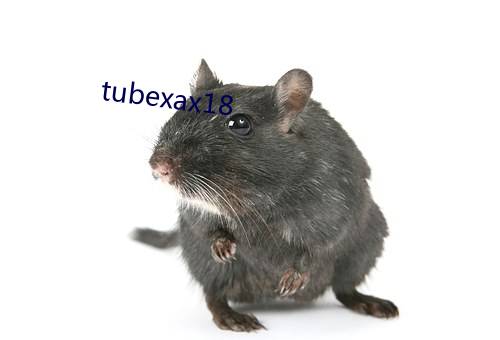 tubexax18 （转业为善）