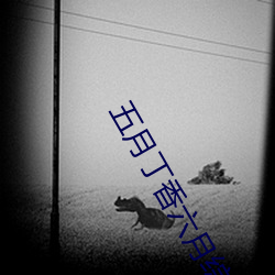 五月丁香六月综合无码体验区激情试看视频120秒