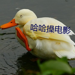哈哈操電影