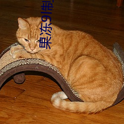 果冻9l制(制)片(片)厂