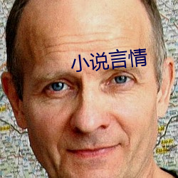 小说言(yán)情