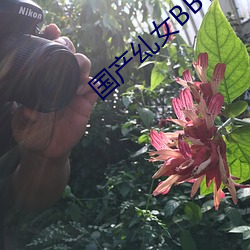 国产乣女BBWBABES