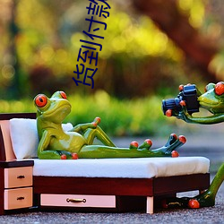 货到付款(kuǎn)商城