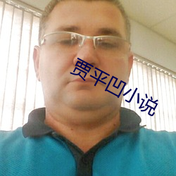 贾平凹小说