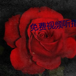 免费视频听指挥app