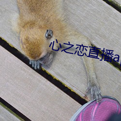 九游会登录j9入口 - 中国官方网站 | 真人游戏第一品牌