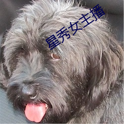 星秀女主播