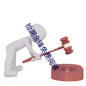 捡漏(漏)金(金)锋(鋒)免费(費)阅读
