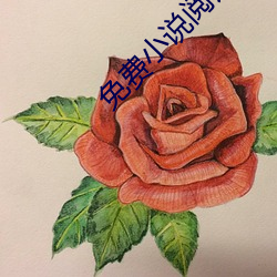 免费小说阅读器