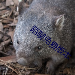 陌聊(聊)免费(費)版(版)本