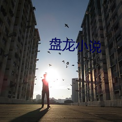 盘龙小说