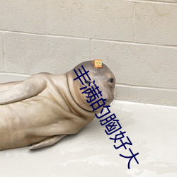 丰满的胸好大 （是非自有公论）